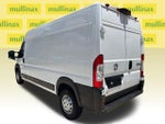 2023 ProMaster Thumbnail 13
