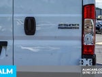 2023 ProMaster Thumbnail 13