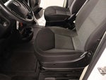 2021 ProMaster Thumbnail 9