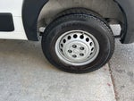 2025 ProMaster Thumbnail 14