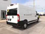 2023 ProMaster Thumbnail 13