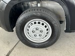 2025 ProMaster Thumbnail 31