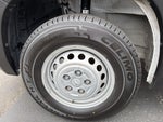 2025 ProMaster Thumbnail 31