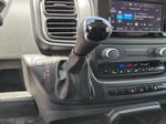 2025 ProMaster Thumbnail 24