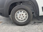 2021 ProMaster Thumbnail 12
