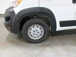 2025 ProMaster Thumbnail 14