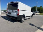 2025 ProMaster Thumbnail 11