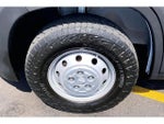 2021 ProMaster Thumbnail 9