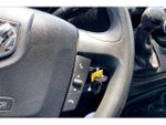 2021 ProMaster Thumbnail 20