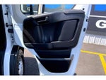 2021 ProMaster Thumbnail 24