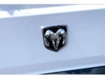 2021 ProMaster Thumbnail 29