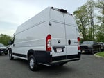 2025 ProMaster Thumbnail 18