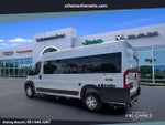 2025 ProMaster Thumbnail 5