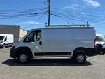 2023 ProMaster Thumbnail 2