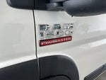2020 ProMaster Thumbnail 13