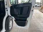 2020 ProMaster Thumbnail 21