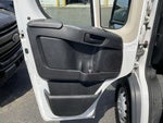 2017 ProMaster Thumbnail 9