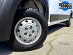 2019 ProMaster Thumbnail 2