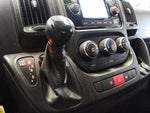 2019 ProMaster Thumbnail 15