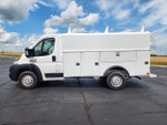 2021 ProMaster Thumbnail 11