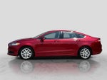 2013 Fusion Thumbnail 3