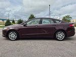 2013 Fusion Thumbnail 4