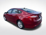 2013 Fusion Thumbnail 3