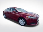 2013 Fusion Thumbnail 7