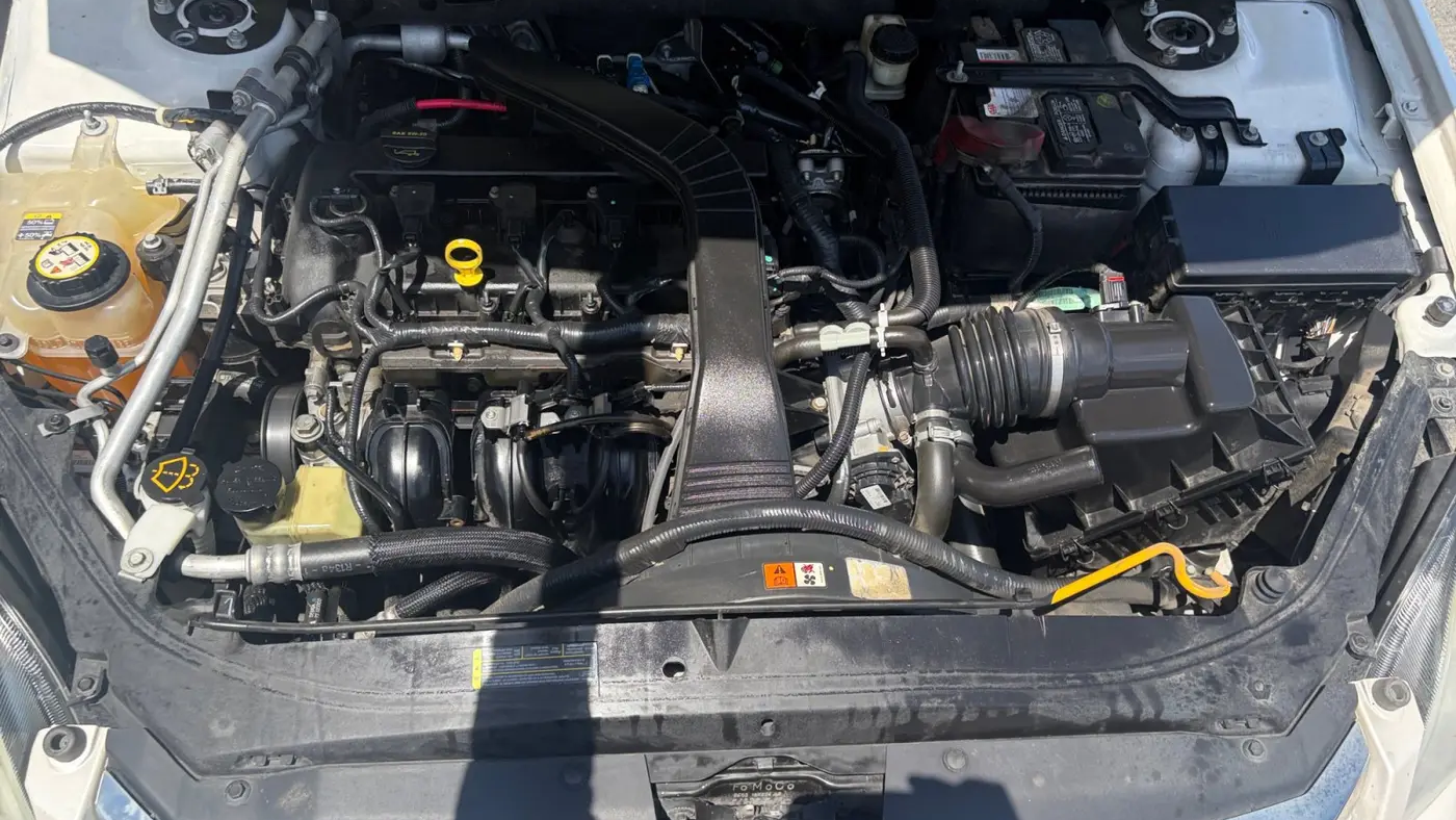 2009 Ford Fusion SE