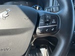 2021 Bronco Sport Thumbnail 20