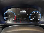 2024 Bronco Sport Thumbnail 19