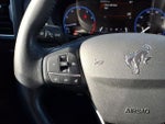 2022 Bronco Sport Thumbnail 11
