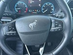 2023 Bronco Sport Thumbnail 10