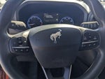 2022 Bronco Sport Thumbnail 10