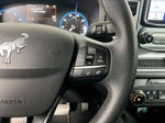 2022 Bronco Sport Thumbnail 19