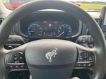 2024 Bronco Sport Thumbnail 14