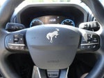 2024 Bronco Sport Thumbnail 14
