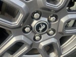2025 Bronco Sport Thumbnail 9