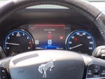 2023 Bronco Sport Thumbnail 10