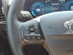 2025 Bronco Sport Thumbnail 16