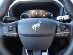 2024 Bronco Sport Thumbnail 14