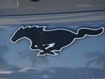 2024 Mustang Mach-E Thumbnail 32