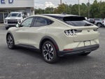 2025 Mustang Mach-E Thumbnail 10
