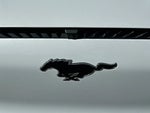2023 Mustang Mach-E Thumbnail 47