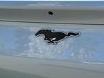 2023 Mustang Mach-E Thumbnail 49