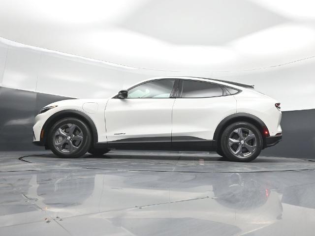 2023 Ford Mustang - $24,785