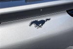 2023 Mustang Mach-E Thumbnail 8