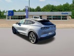 2022 Mustang Mach-E Thumbnail 10