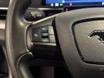 2022 Mustang Mach-E Thumbnail 19