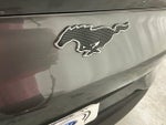 2023 Mustang Mach-E Thumbnail 5